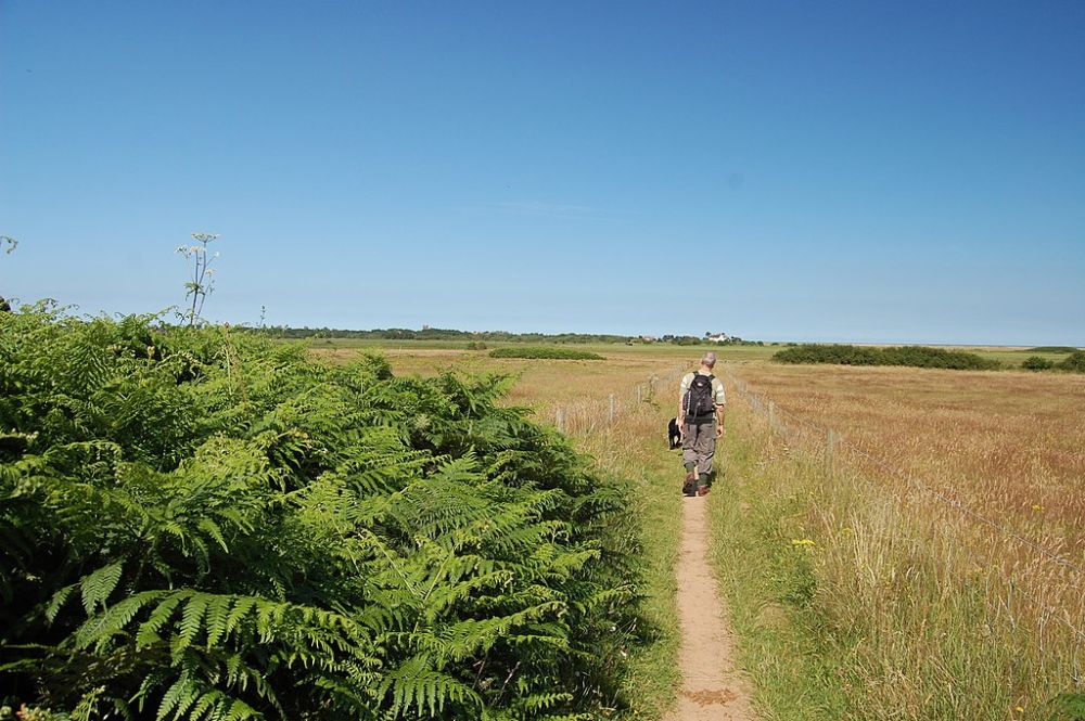 Suffolk Coastal Path near Thorpeness
